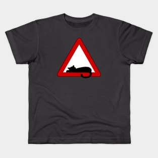 Warning! Lazy cat! Kids T-Shirt